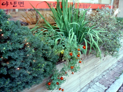 080923_가게외부4.jpg